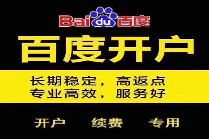 谷歌SEM与移动端优化：某APP的推广策略及效果